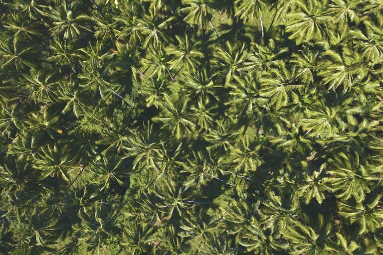 Contemplative Studies Panels at AAR Conference: November 19-22, 2022