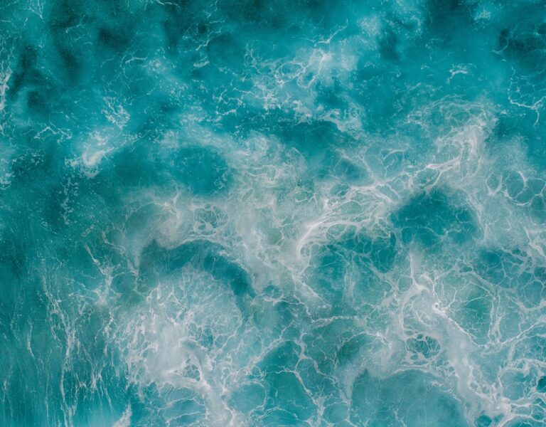 ISCR Inaugural Conference: February 2-5, 2023