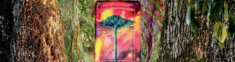 SPECIAL ISSUE #1: Psychedelics, Contemplation, and Religion