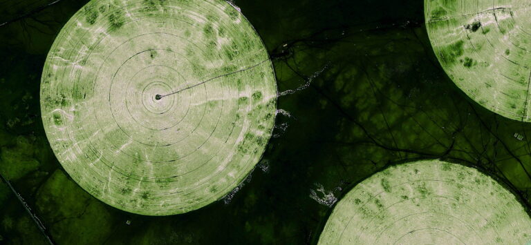 OP-ED: Critical Mindfulness in Contemplative Education