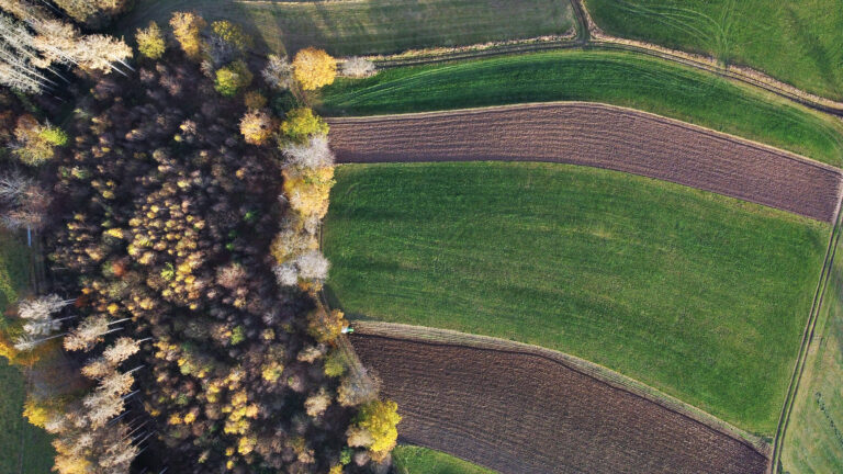 CALL FOR PAPERS: AAR Contemplative Studies Unit