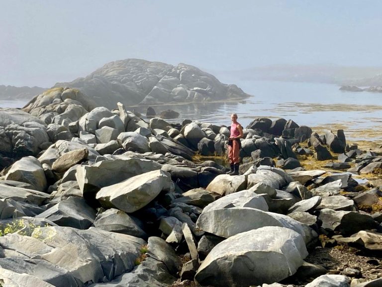 Like Rocks and Mountains: A Contemplative Science Program Under Threat