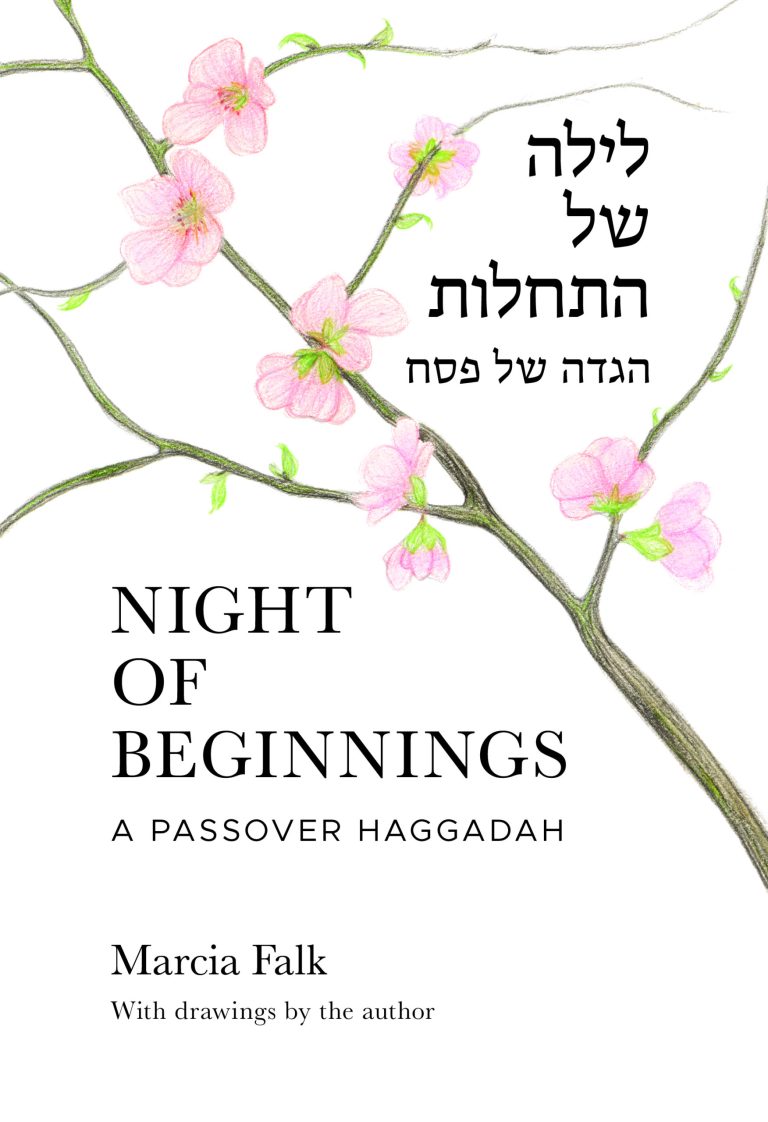 Review of Night of Beginnings: A Passover Haggadah