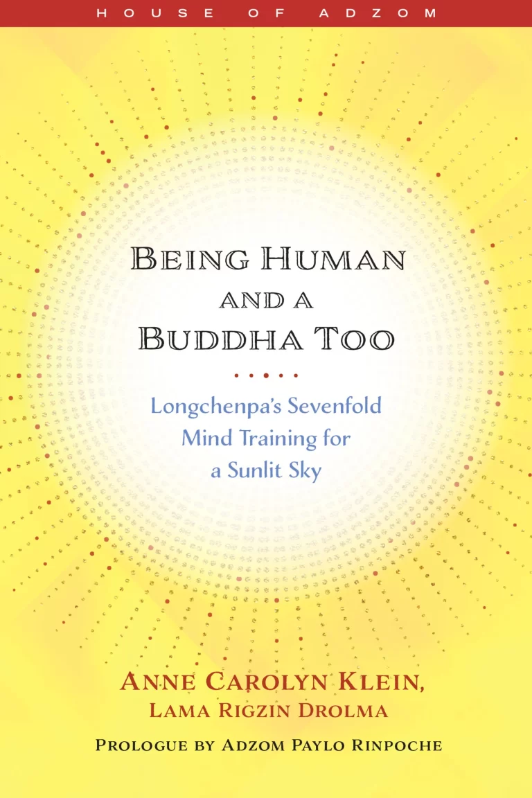 Review of Being Human and a Buddha Too: Longchenpa’s Seven Trainings for a Sunlit Sky